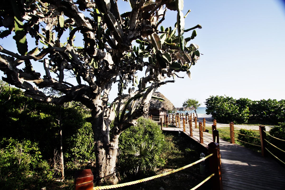 Ocean Varadero El Patriarca 3 Ocean Varadero El Patriarca 3