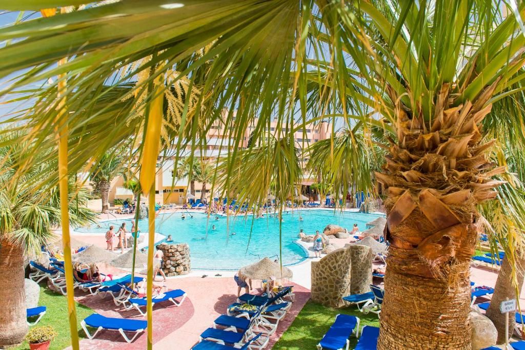 ALEGRIA Fenix Family 2