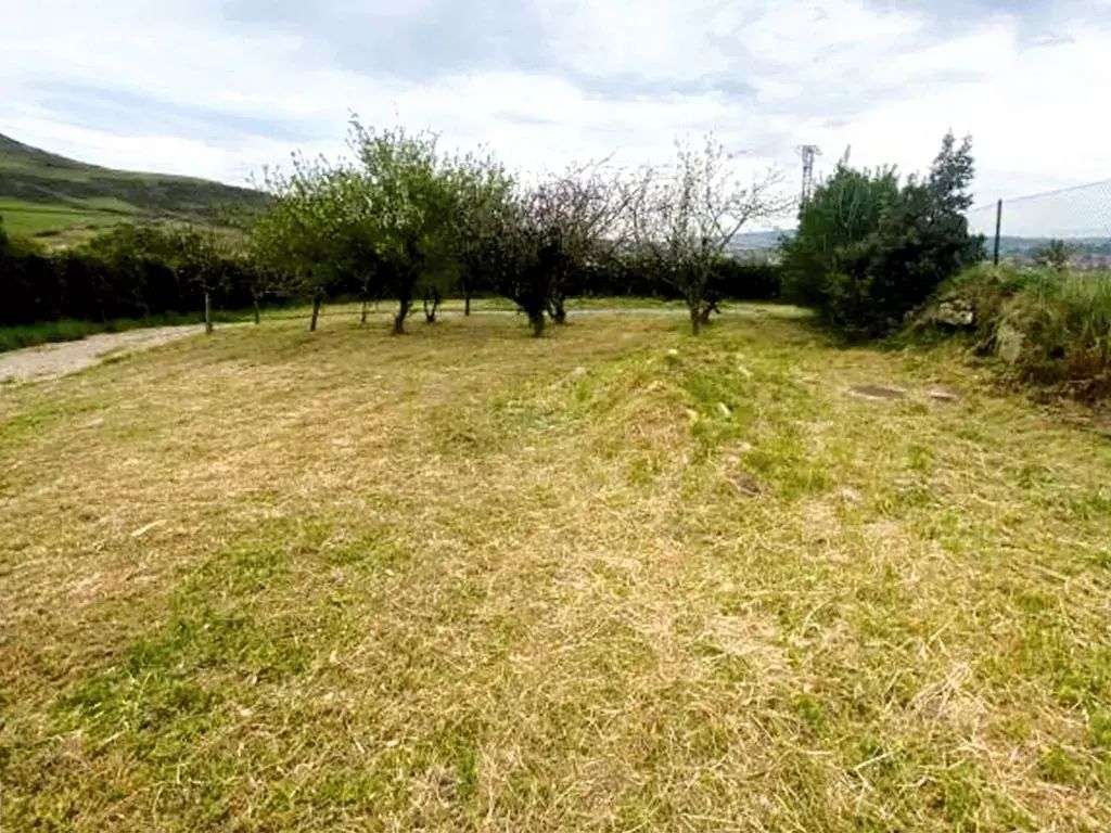 Apartamentos Vía Street 3000 3