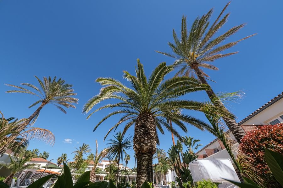 Oassium Hotel By Estival Park 3 Oassium Hotel By Estival Park 3