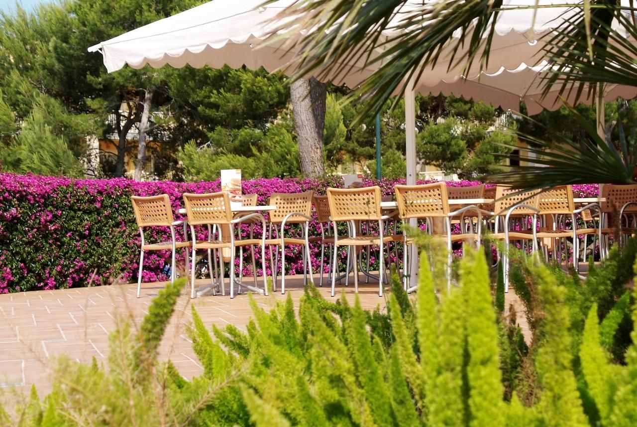 Zafiro Mallorca 2
