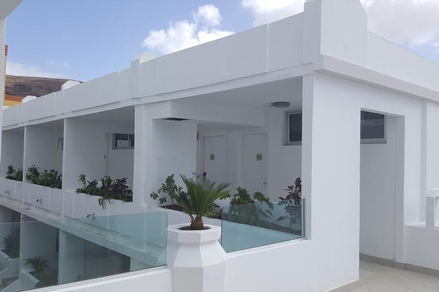 FERGUS Cactus Garden 2