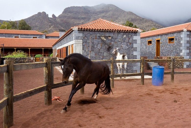 Señorio Del Valle 3