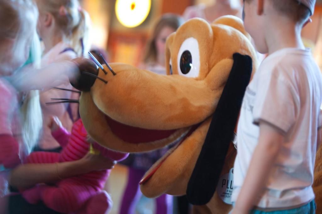 DISNEYLAND ® PARIS  🍃 ¡Relájate en pleno bosque en este hotel inspirado en los parques nacionales americanos!