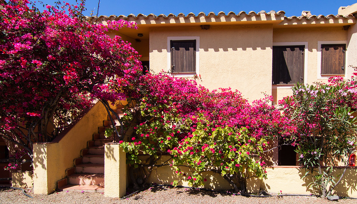 Residence Torre Delle Stelle 1 Residence Torre Delle Stelle 1