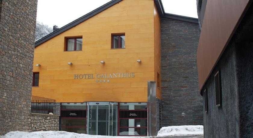 Galanthus 1 Galanthus 1