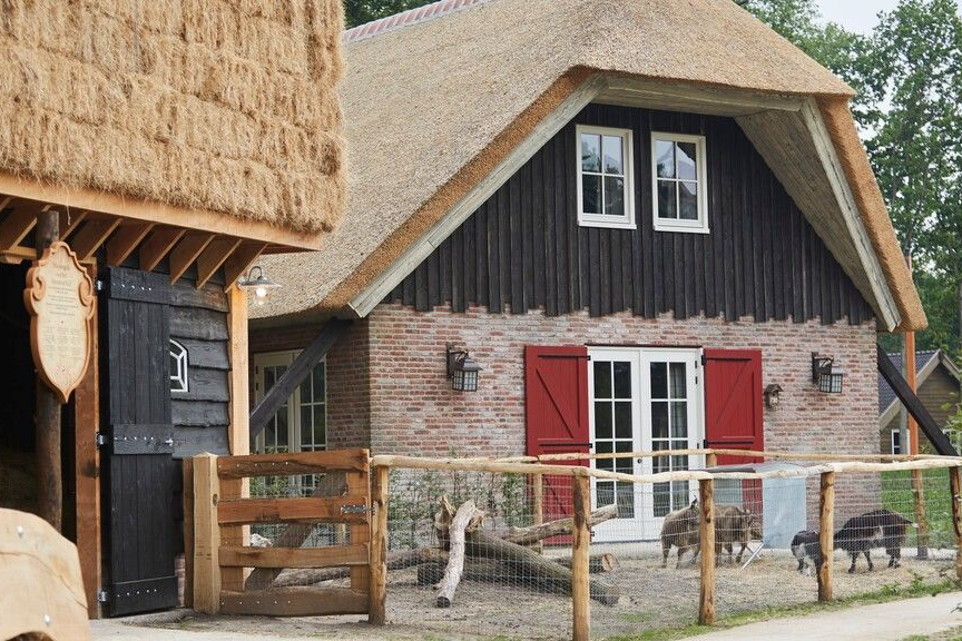 Holiday Village Efteling Loonsche Land 3
