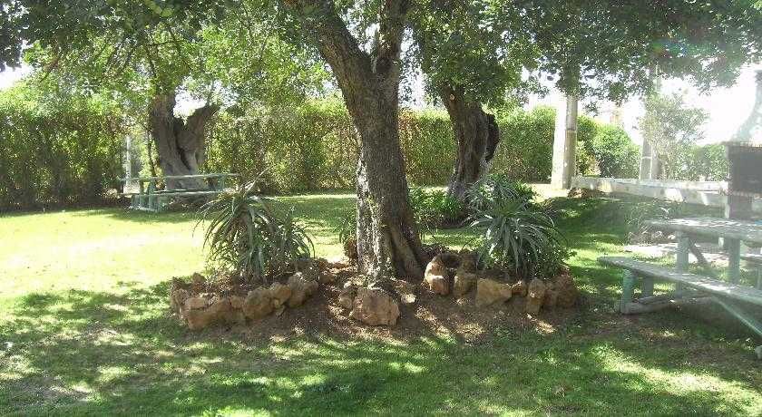 Tavira Garden Hotel 3 Tavira Garden Hotel 3