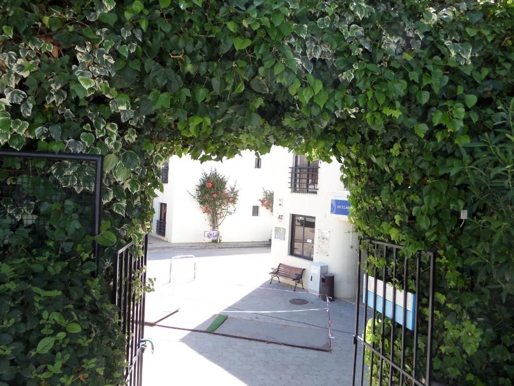 Clube Alvorferias 3 Clube Alvorferias 3