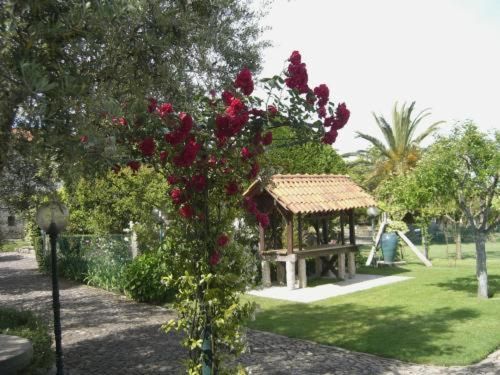 Quinta Dom Sapo 3 Quinta Dom Sapo 3