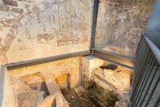 Ainb Born-Tiradors 2