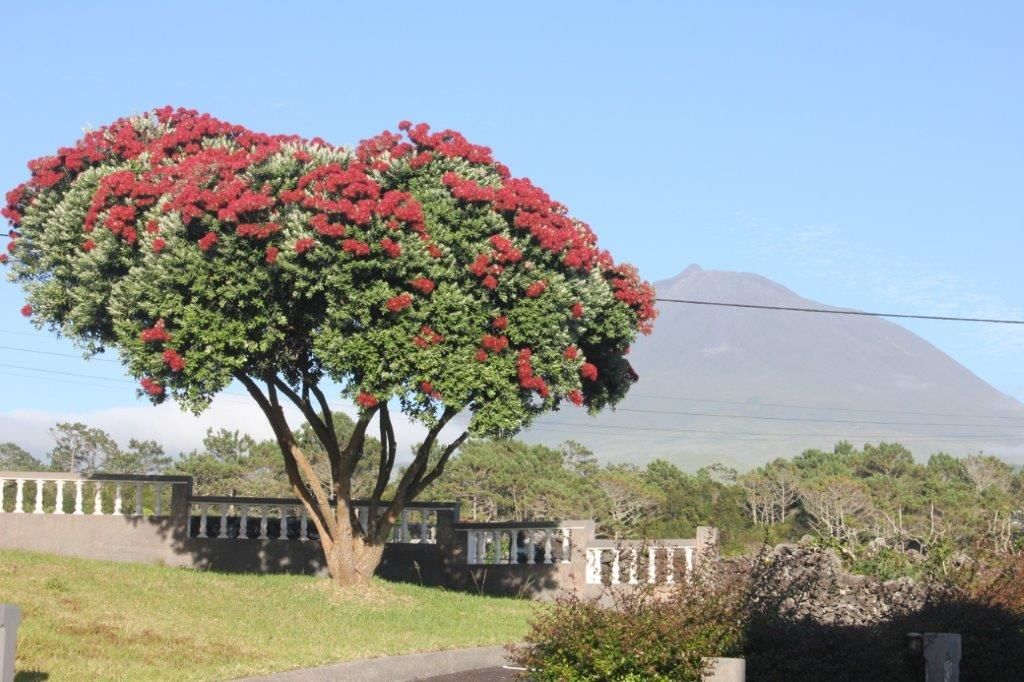 AL-NovaVista Alojamento 3 AL-NovaVista Alojamento 3