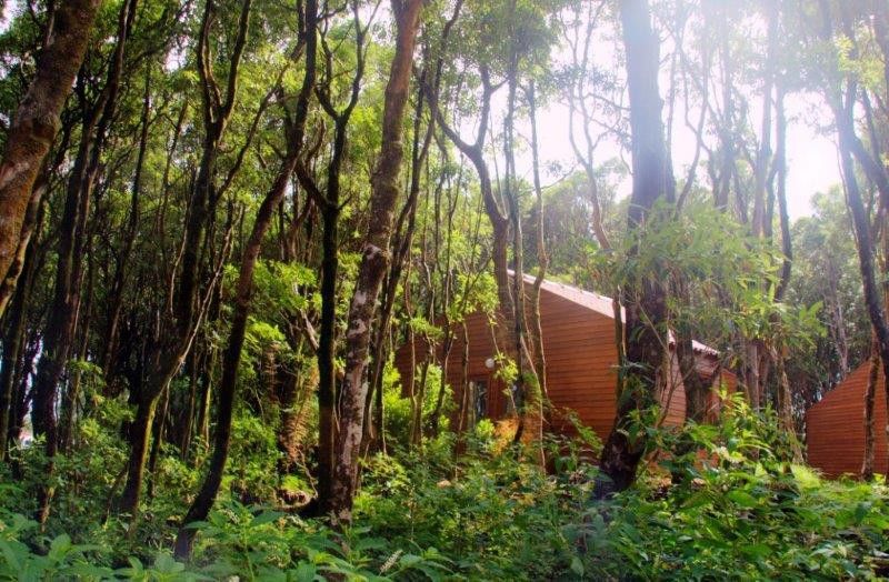 Alma do Pico 2 Alma do Pico 2