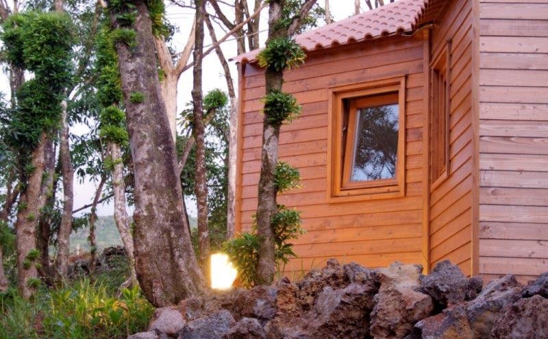 Alma do Pico 3 Alma do Pico 3