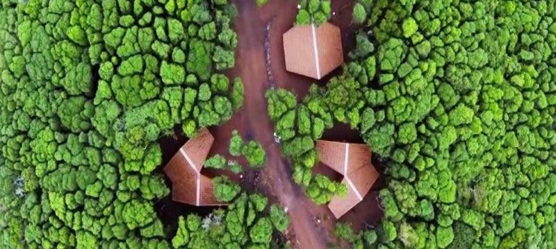 Alma do Pico 1 Alma do Pico 1