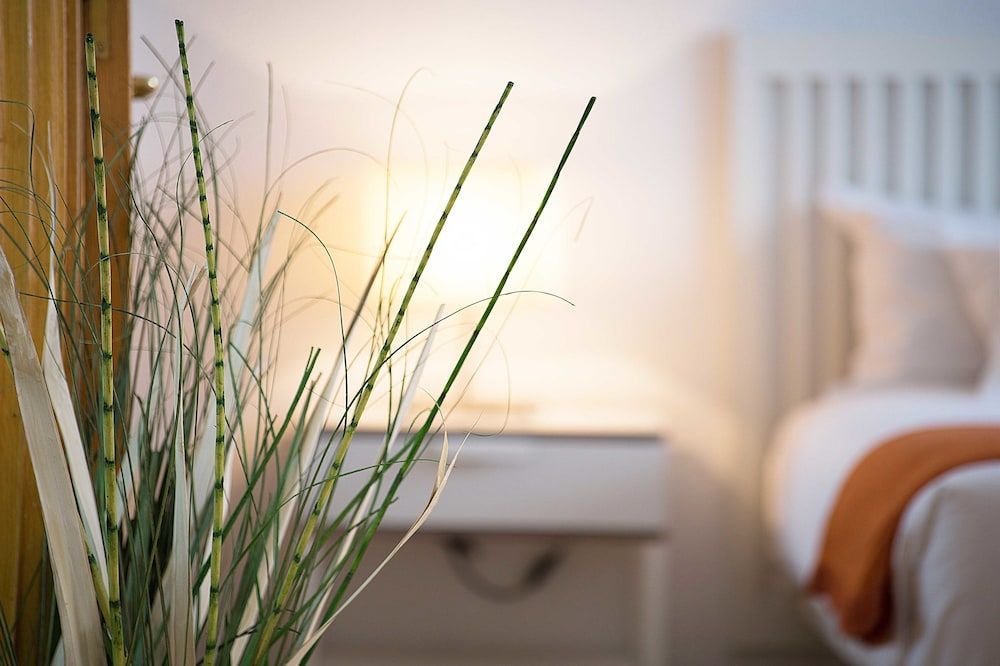 Apartamentos San Lorenzo 26 3