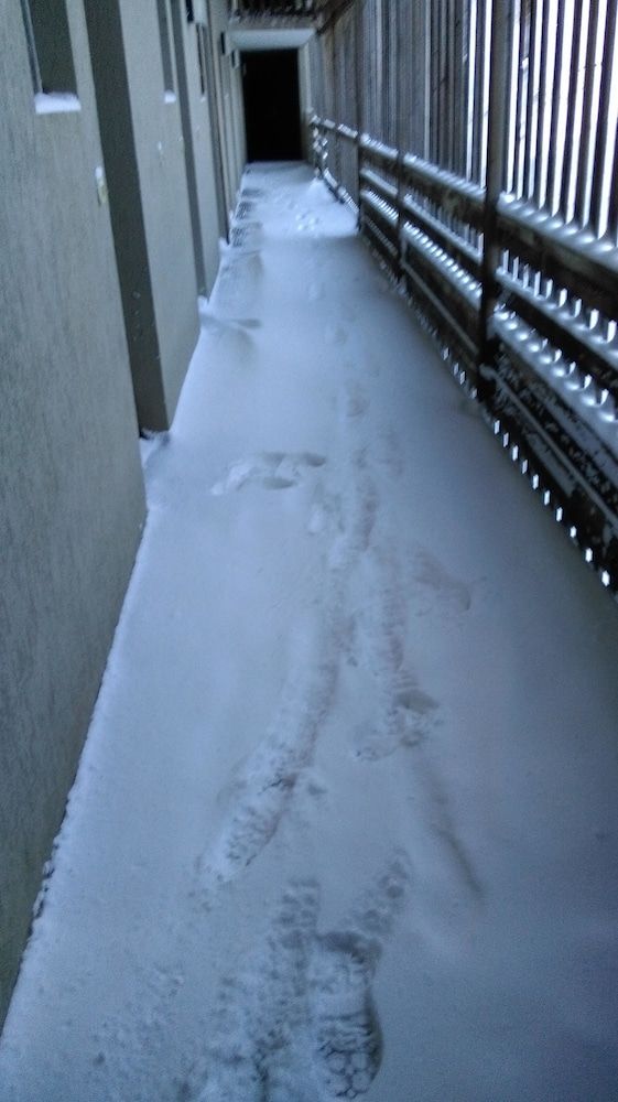 Apartment With one Bedroom in Auris en Oisans, With Wonderful Mountain View and Furnished Balcony - 200 m From the Slopes 3