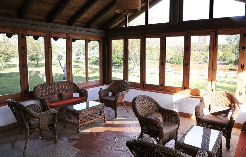 Ardea Purpurea 2 Ardea Purpurea 2