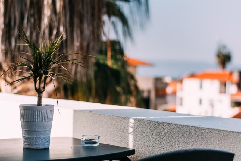 Arts In Apartments Pina 2