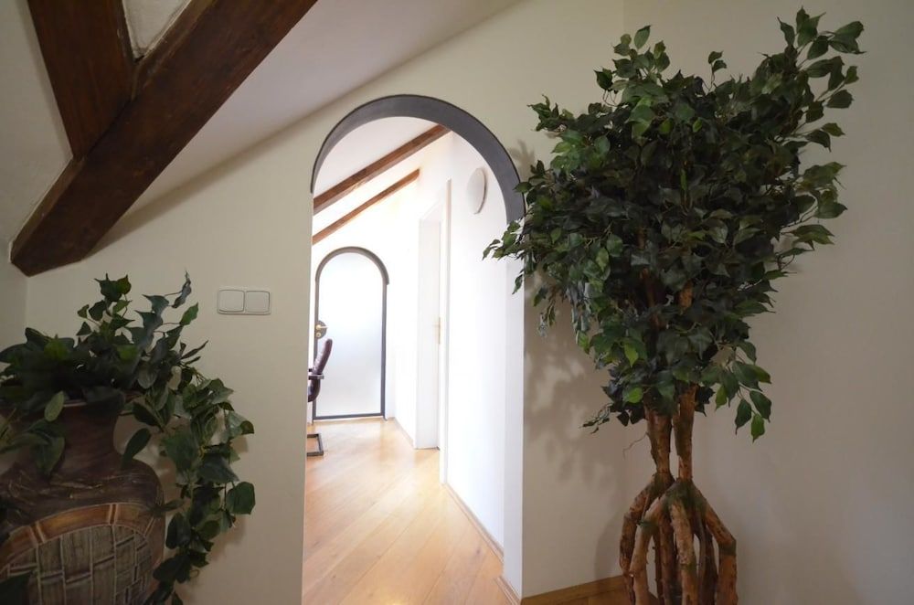 Attic Hroznova - Charles Bridge 2 Attic Hroznova - Charles Bridge 2