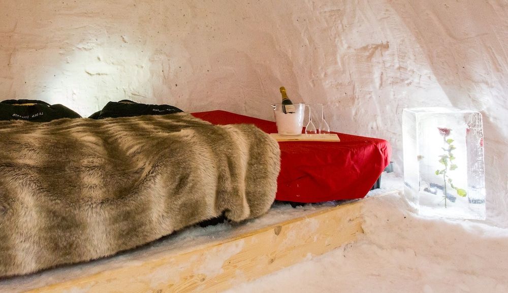 Blacksheep Village Igloo 2 Blacksheep Village Igloo 2