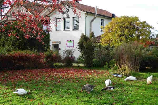 Casa das Palmeiras 2