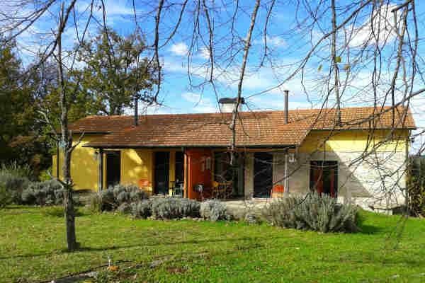 Casa das Palmeiras -1 estrelas em Mangualde