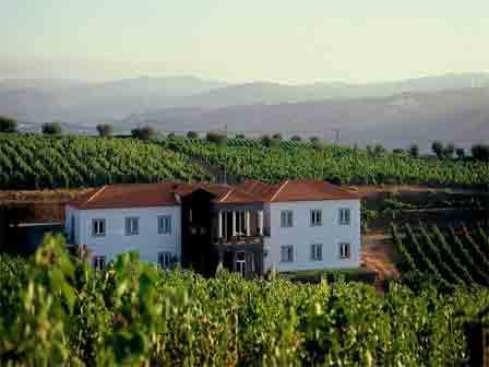 Quinta do Portal Casa das Pipas 3 estrelas em Sabrosa