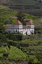 Casa das Torres de Oliveira+Crucero - Régua / Pinhão / Régua (Subida y Descenso en Barco)