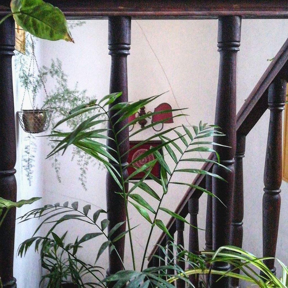 Casa do Fundo - Seia 2