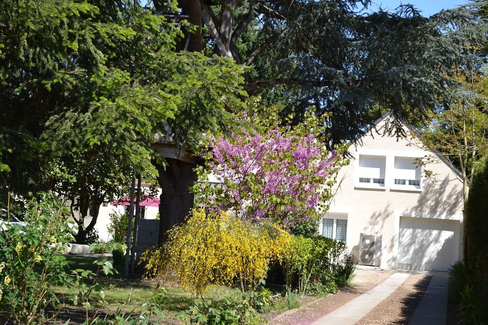 La Maison des Ecureuils -1 estrelas em Noyers-sur-Cher