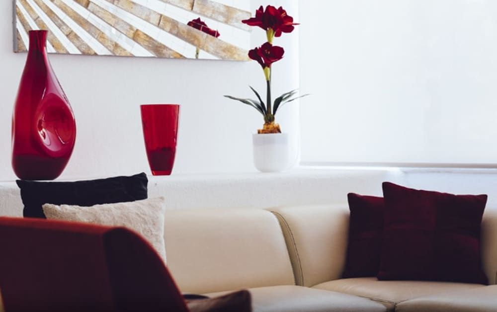 Coral Princess Golf and Dive Resort 2 Coral Princess Golf and Dive Resort 2