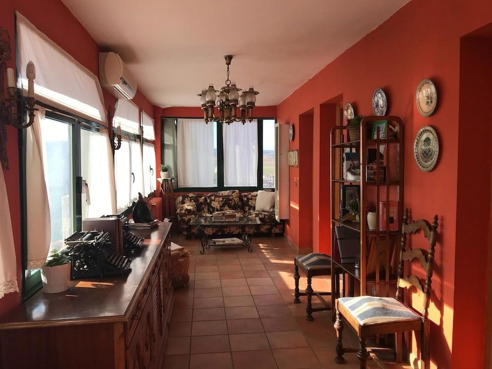 El Olivo de Sansol 3