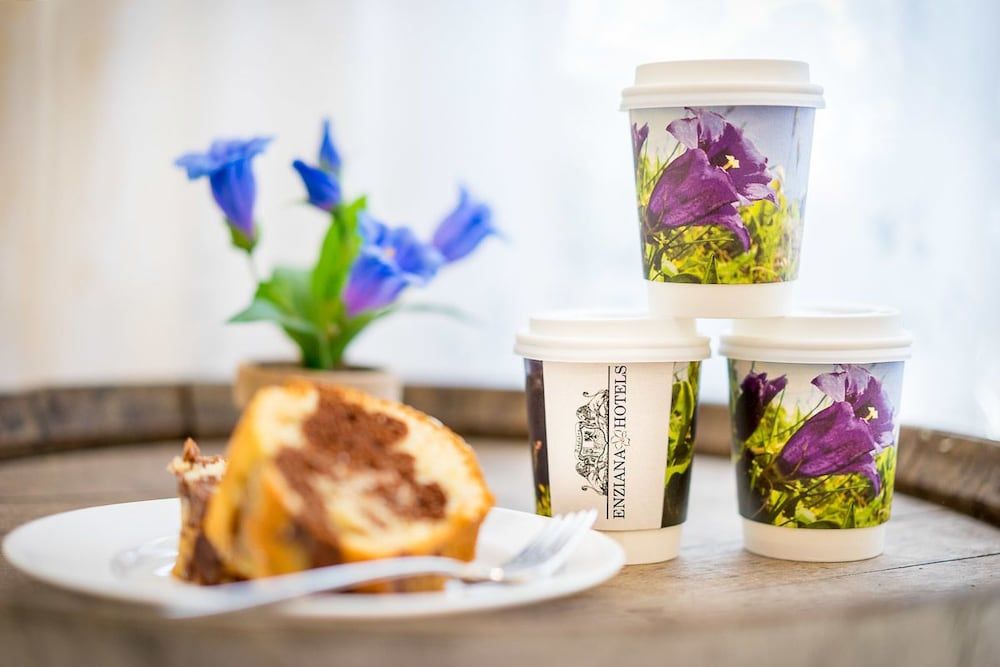 Enziana Hotel Vienna 1