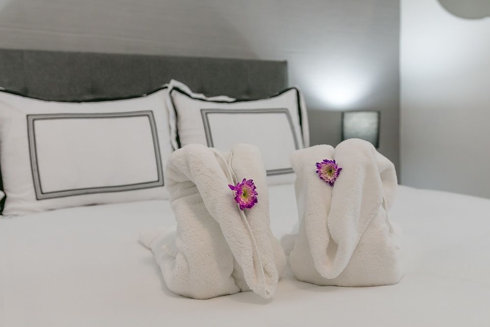 Fortuna House Apartments 3