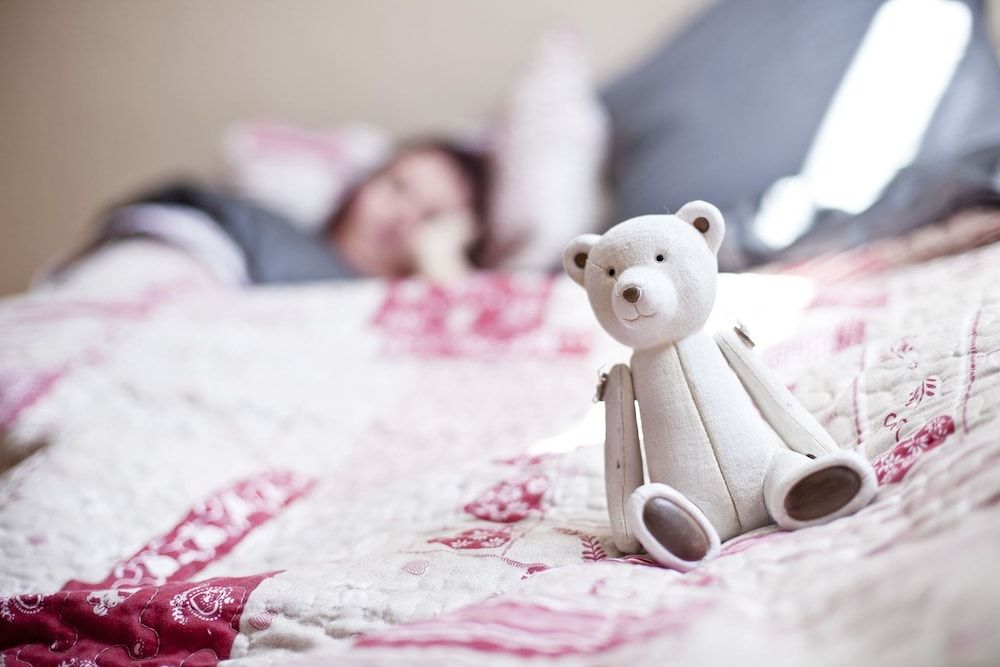 Gîtes Estives d'Arrens 2