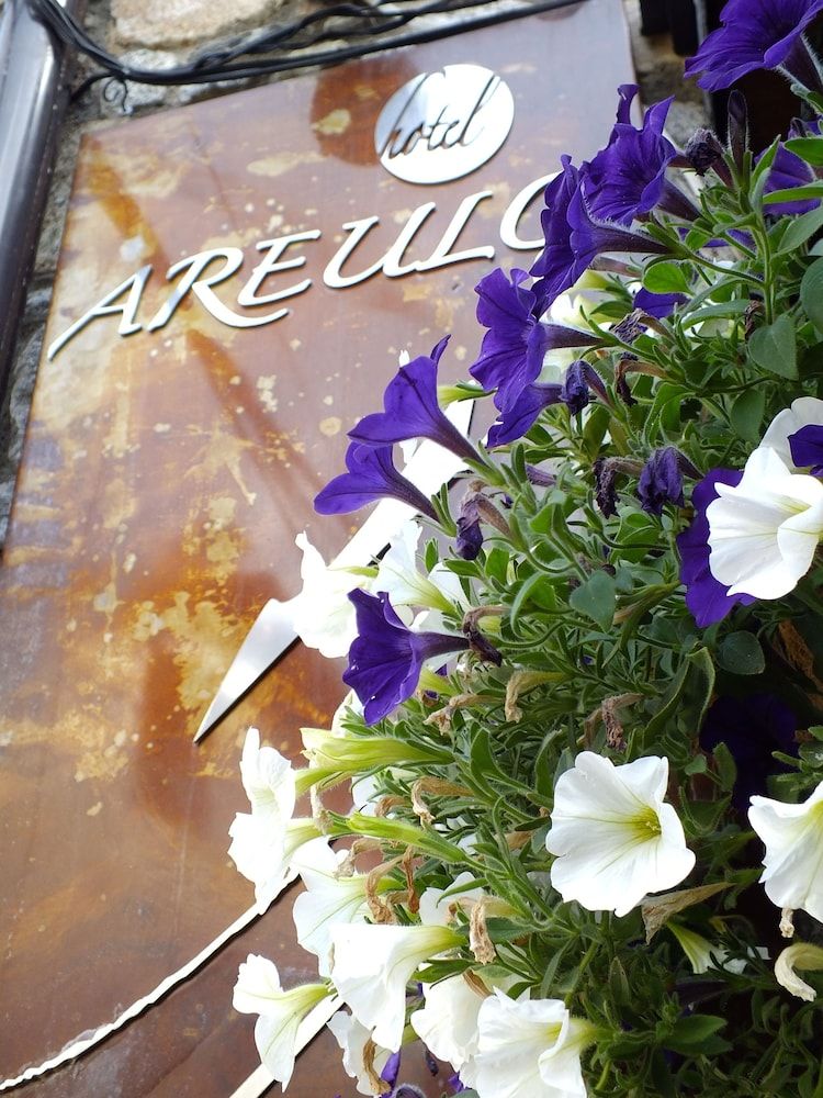 Hotel Areulo 3 estrellas en Cerler