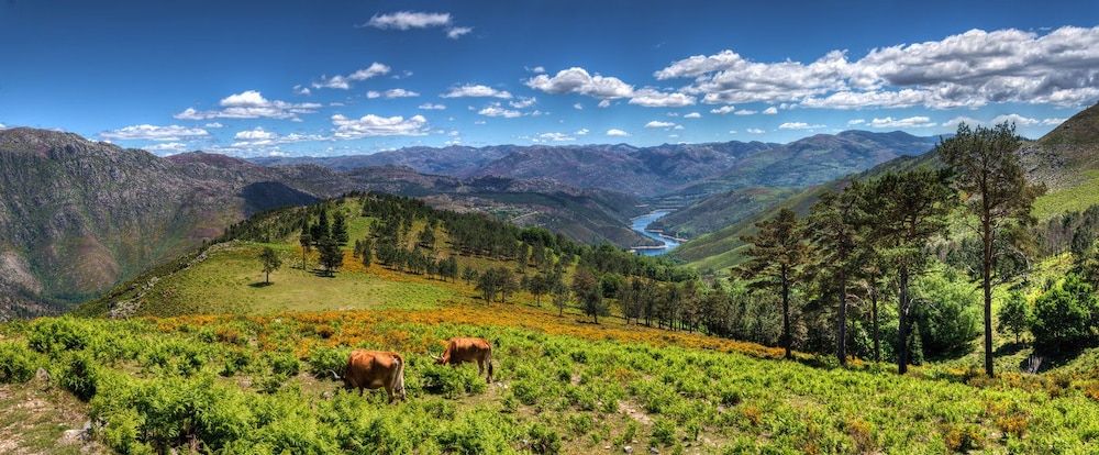 🍃 Gerês em Hotel com pequeno-almoço incluído | Melgaço