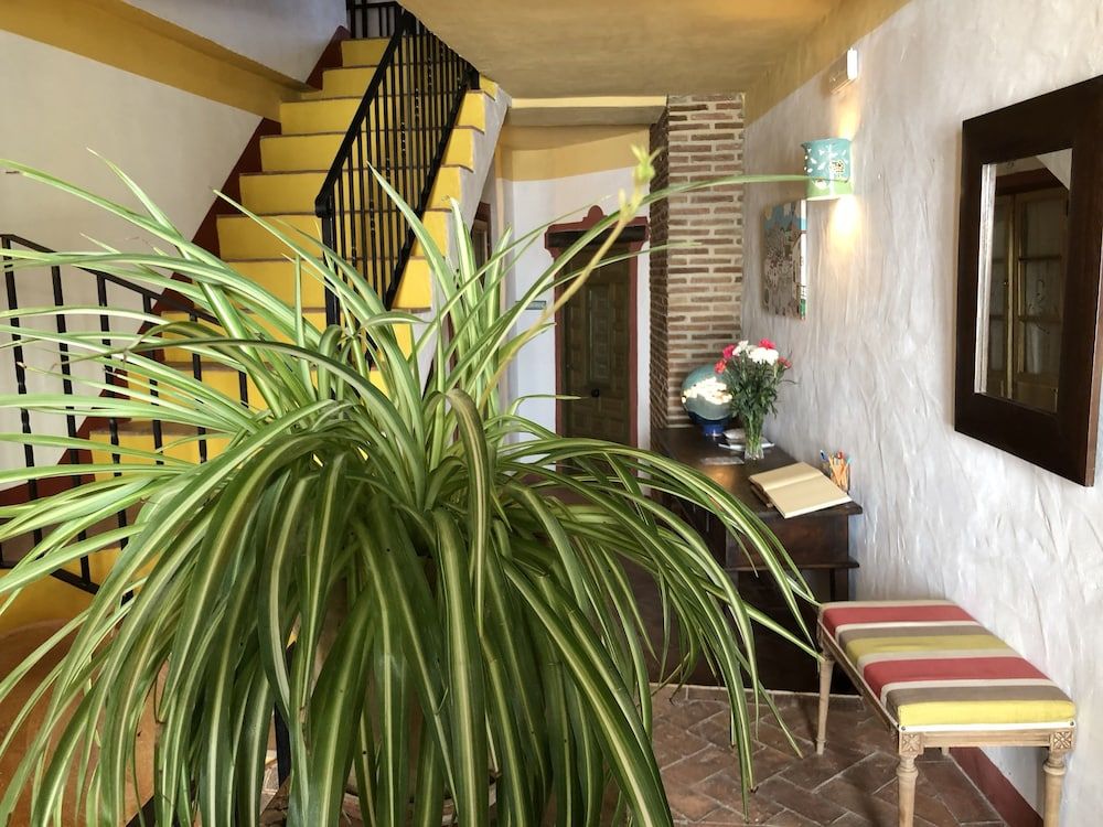 Hotel La Fructuosa 2