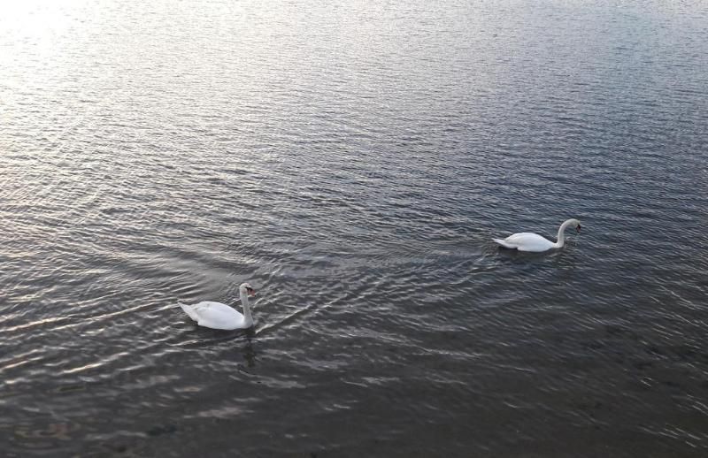 Hotel Playa Las Sinas 2