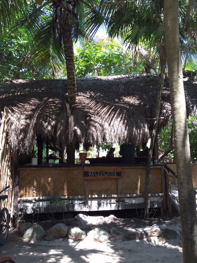 Zulum Beach Club & Cabañas 2