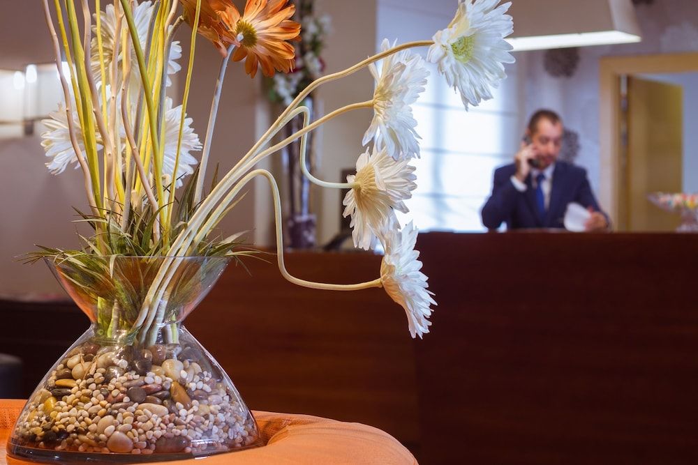 Ibb Recoletos Coco Salamanca 3 Ibb Recoletos Coco Salamanca 3