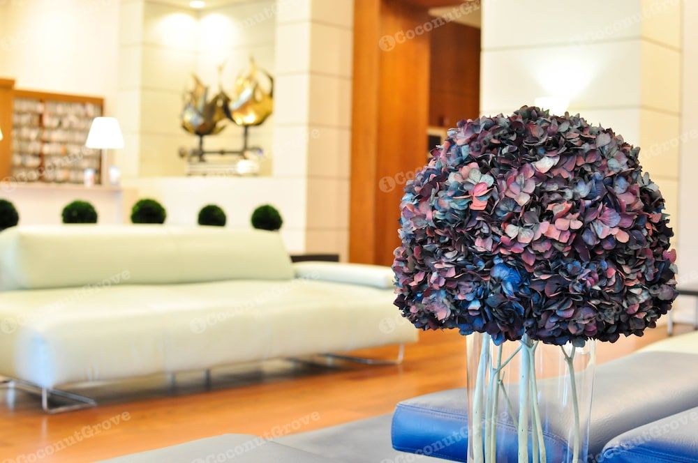 iCoconutGrove- Luxurious Vacation Rentals in Coconut Grove 3