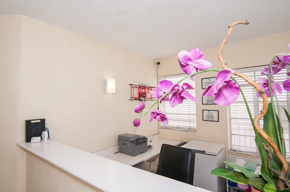 Island House South Beach 2