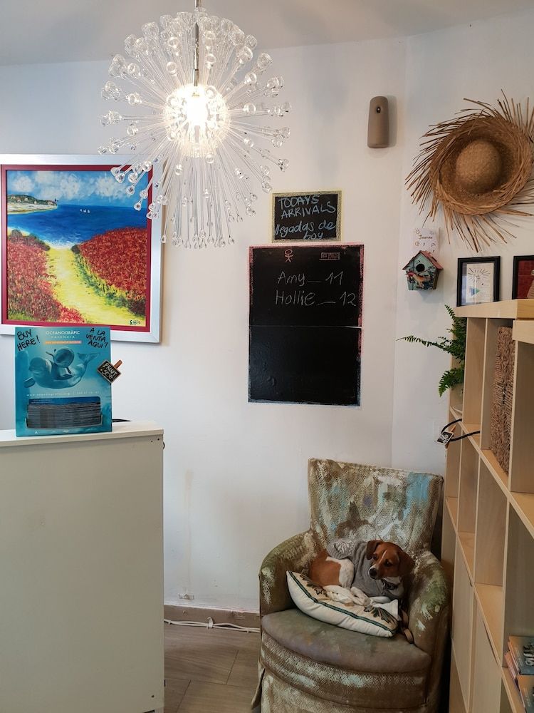 La Casa del Colibrí Youth Hostel 3