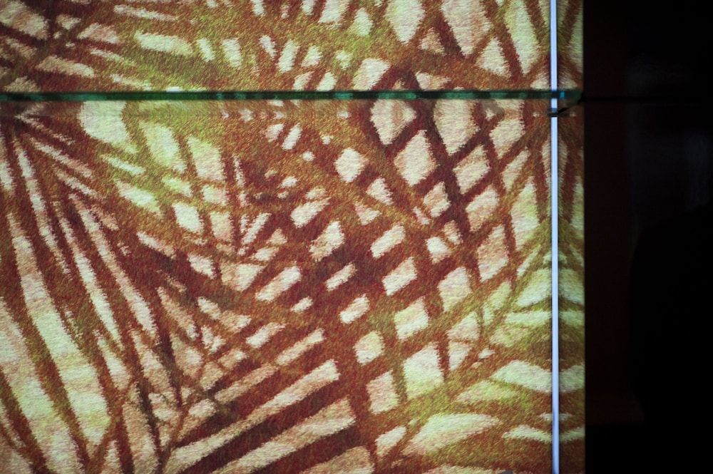 La Palma de LLanes 3 La Palma de LLanes 3