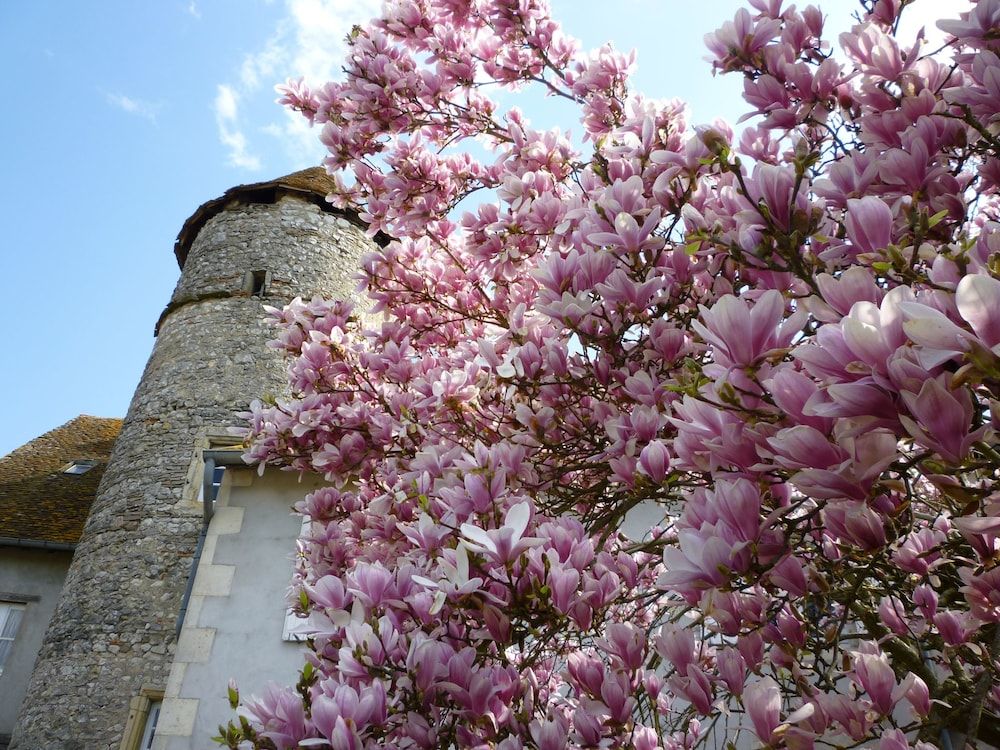 Le Relais De Chasse 3 estrelas em Chantenay-Saint-Imbert