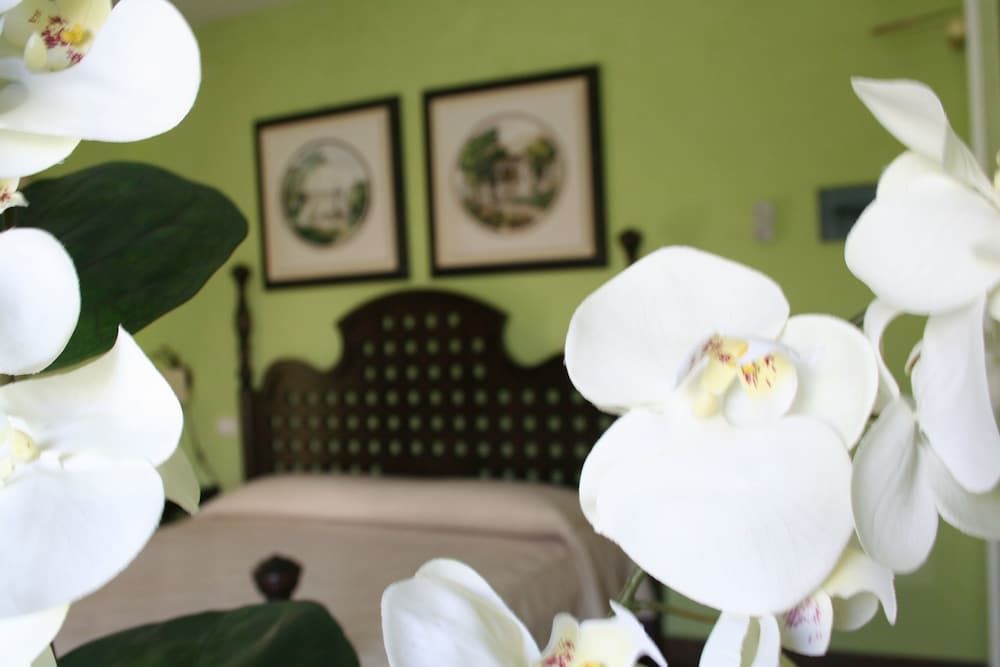 L'Hotel dei Coloniali 3