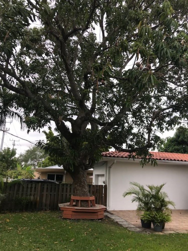 Marvelous Miami Shores 3