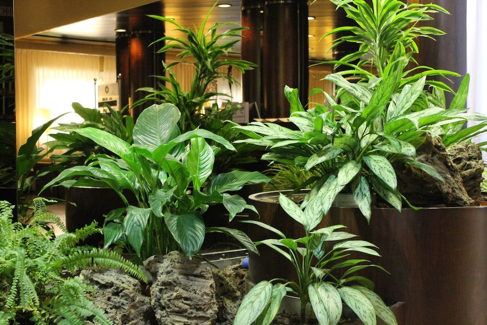 Michelangelo Venice Hotel 2